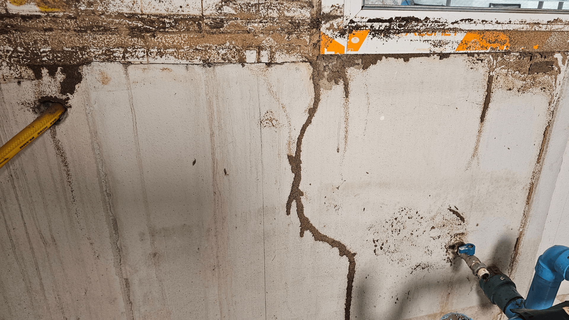 ทางเดินดินของปลวก