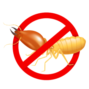 ภาพการป้องกันปลวกได้100%