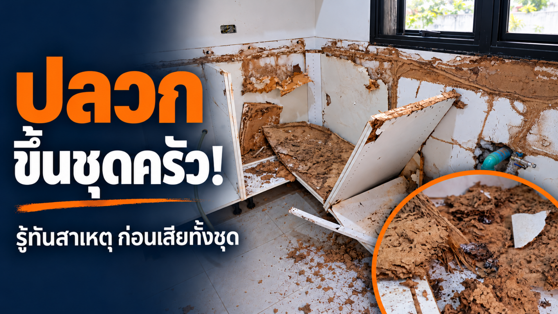 ภาพจำลองปลวกขึ้นชครัวไม้ แสดงโครงตู้เสียหายและทางเดินดิน